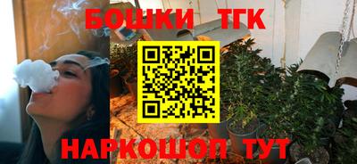 тгк Гусев