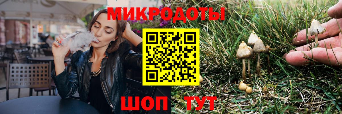 Мурманск  купить закладку  Вход с VPN  Псилоцибиновые грибы Psilocybe 