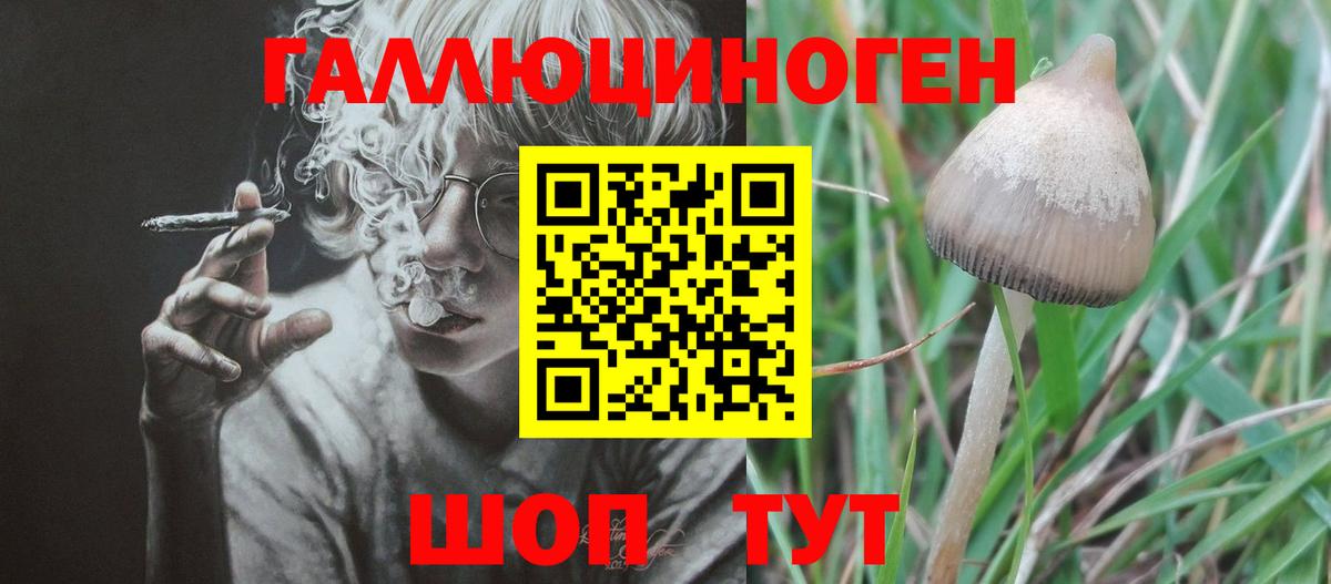Галлюциногенные грибы ЛСД Мурманск